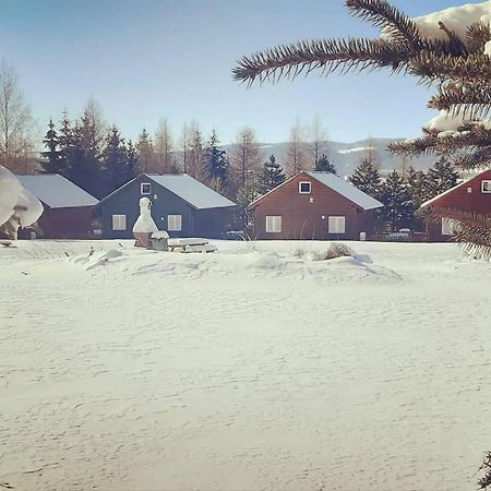 Stanica Pod Zadzierna Domki Caloroczne Lubawka Extérieur photo