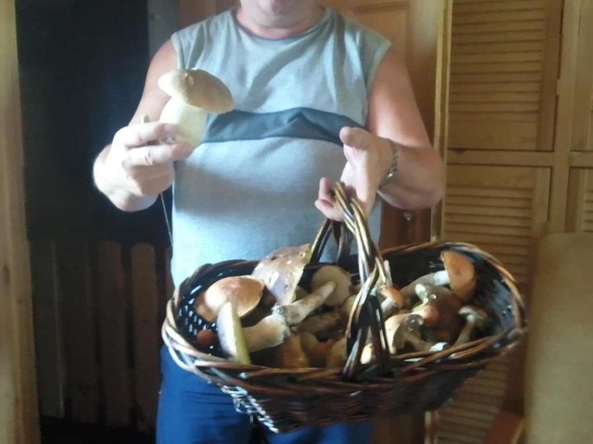 Stanica Pod Zadzierna Domki Caloroczne Lubawka Extérieur photo