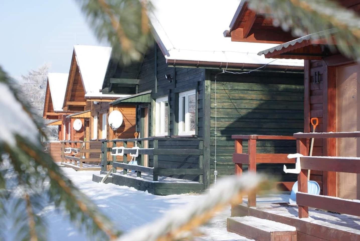 Stanica Pod Zadzierna Domki Caloroczne Lubawka Extérieur photo